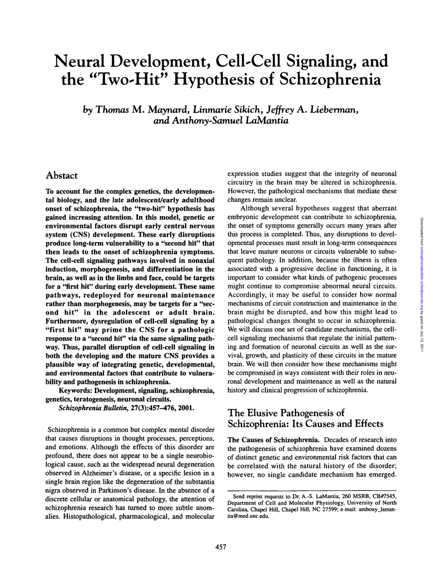 define two hit hypothesis of schizophrenia