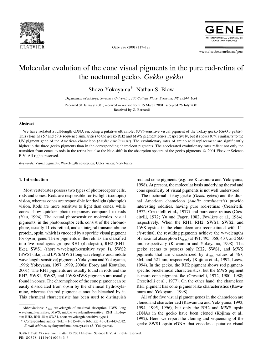 (PDF) Molecular evolution of the cone visual pigments in the pure rod