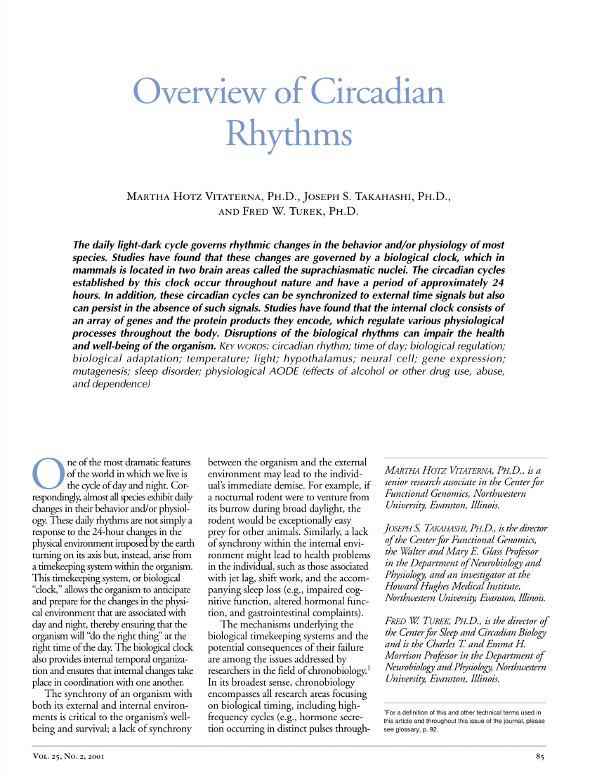 Circadian rhythm meaning