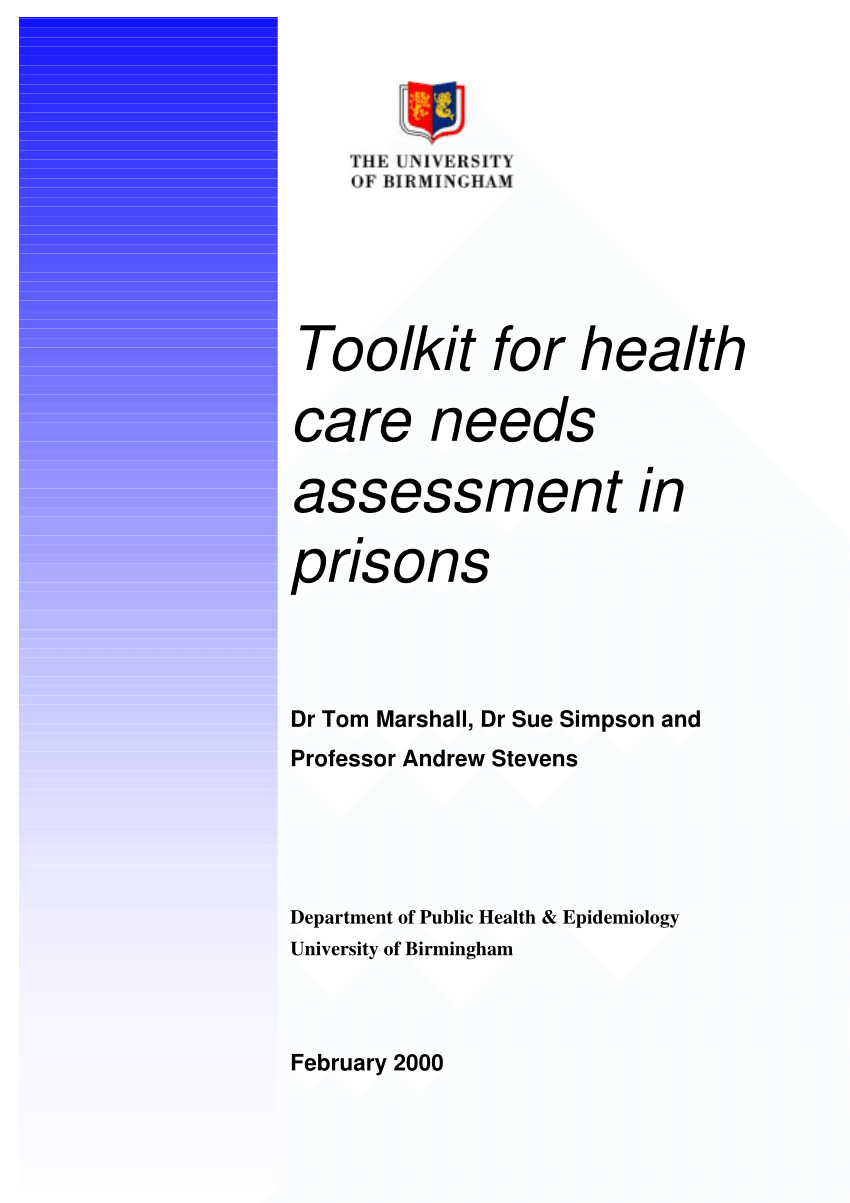 PDF Health Care in Prisons A Health Care Needs Assessment