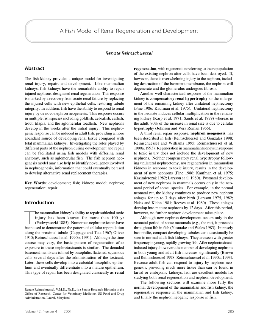 最高の品質 Nephrons and Kidneys, Jean Oliver fiqueisemcracha.com.br