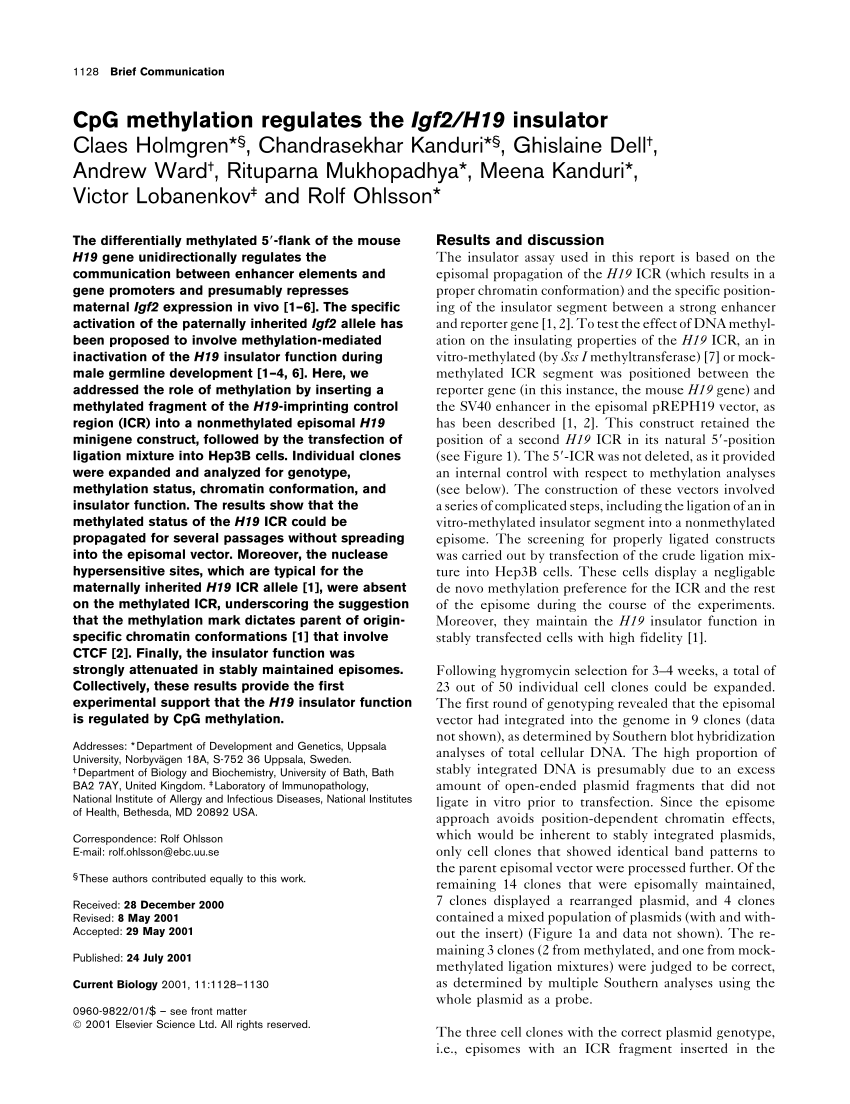 (PDF) CpG methylation regulates the Igf2/H19 insulator