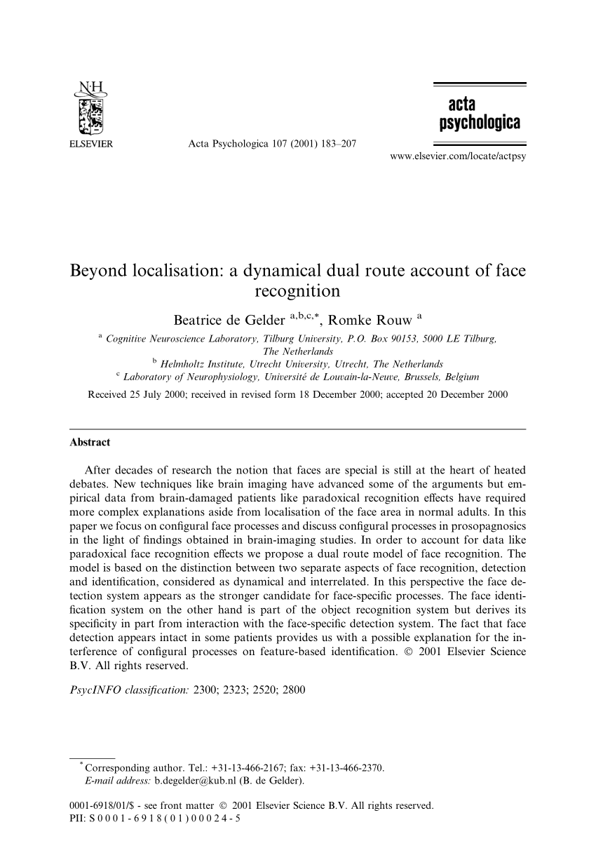 PDF Beyond localisation A dynamical dual route account of face