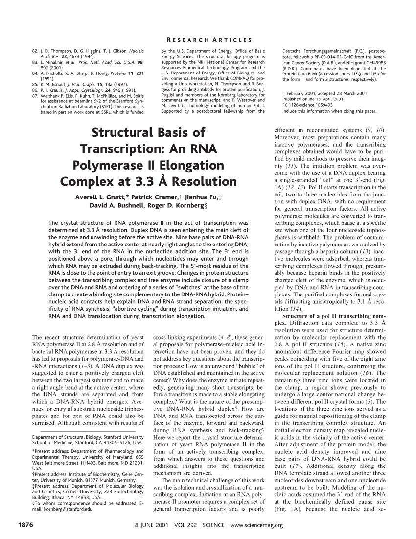 Pdf Structural Basis Of Transcription An Rna Polymerase Ii Elongation Complex At 3 3 A Resolution
