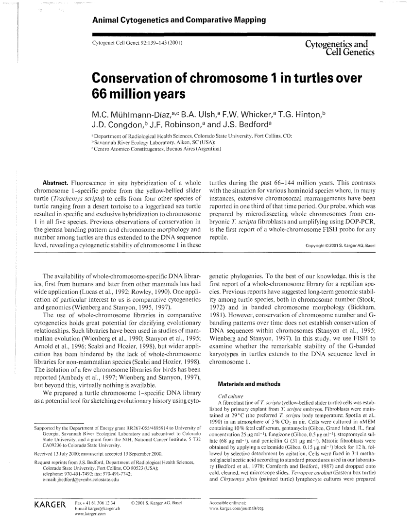 Pdf Conservation Of Chromosome 1 In Turtles Over 66 Million Years