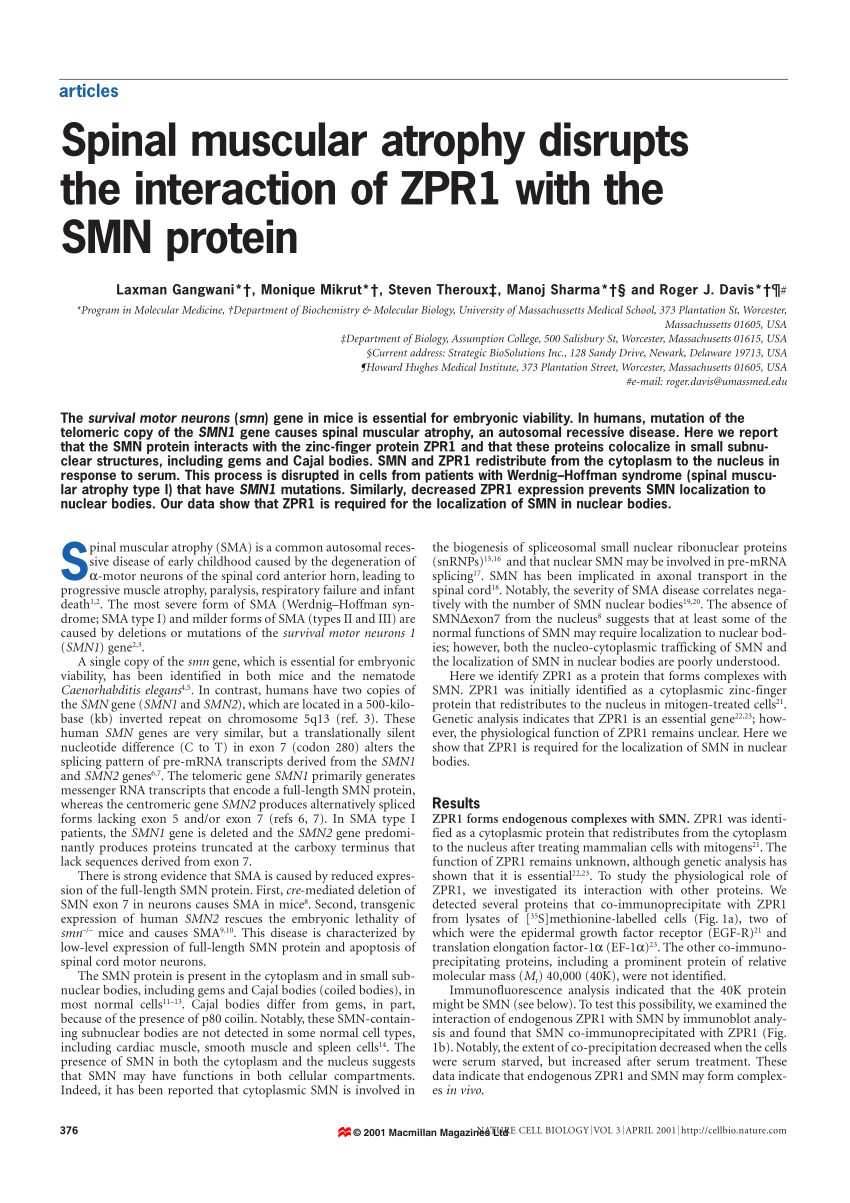 PDF) Spinal muscular atrophy disrupts the interaction of ZPR1 with ...