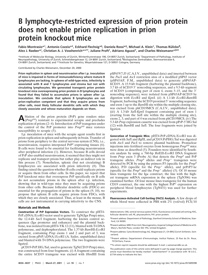 PDF) B lymphocyte-restricted expression of prion protein does not enable  prion replication in prion protein knockout mice