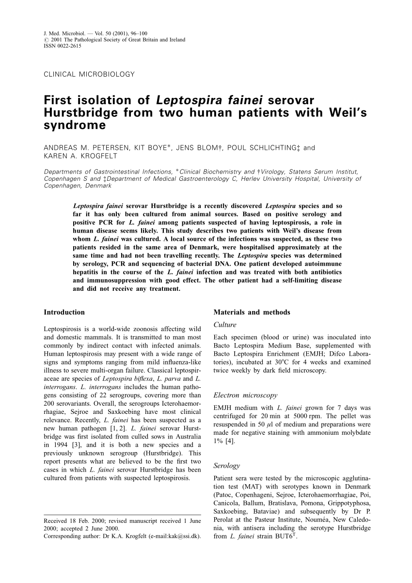 Pdf First Isolation Of Leptospira Fainei Serovar Hurstbridge From Two Human Patients With Weil S Syndrome