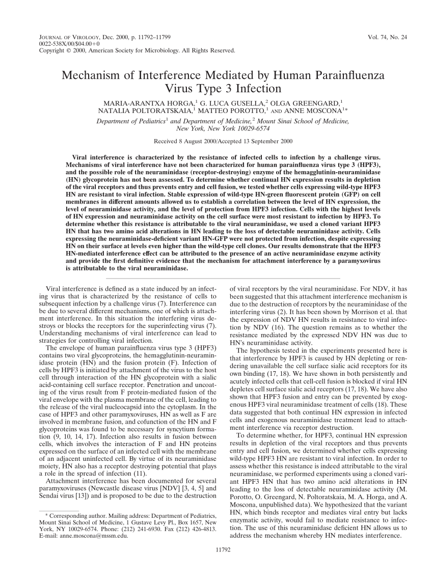 Pdf Mechanism Of Interference Mediated By Human Parainfluenza Virus Type 3 Infection