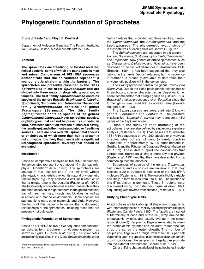 Pdf Phylogenetic Foundation Of Spirochetes