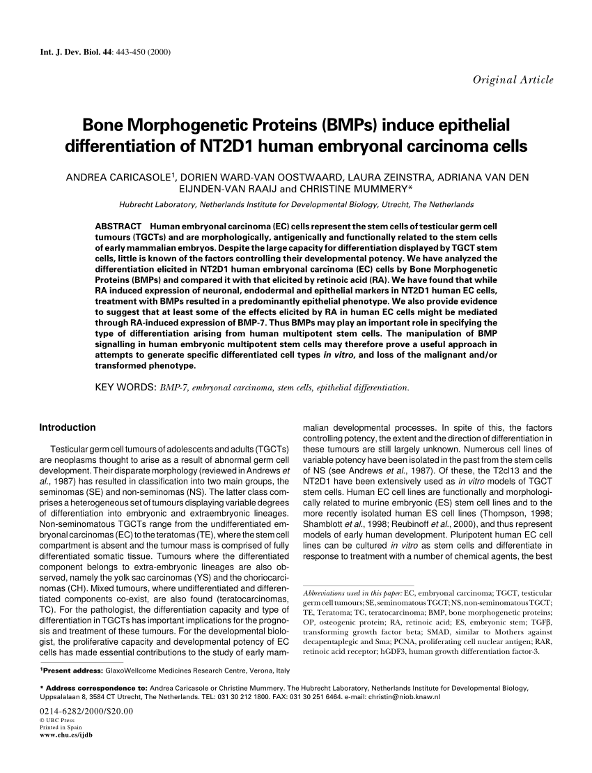 PDF) Bone Morphogenetic Proteins (BMPs) induce epithelial ...