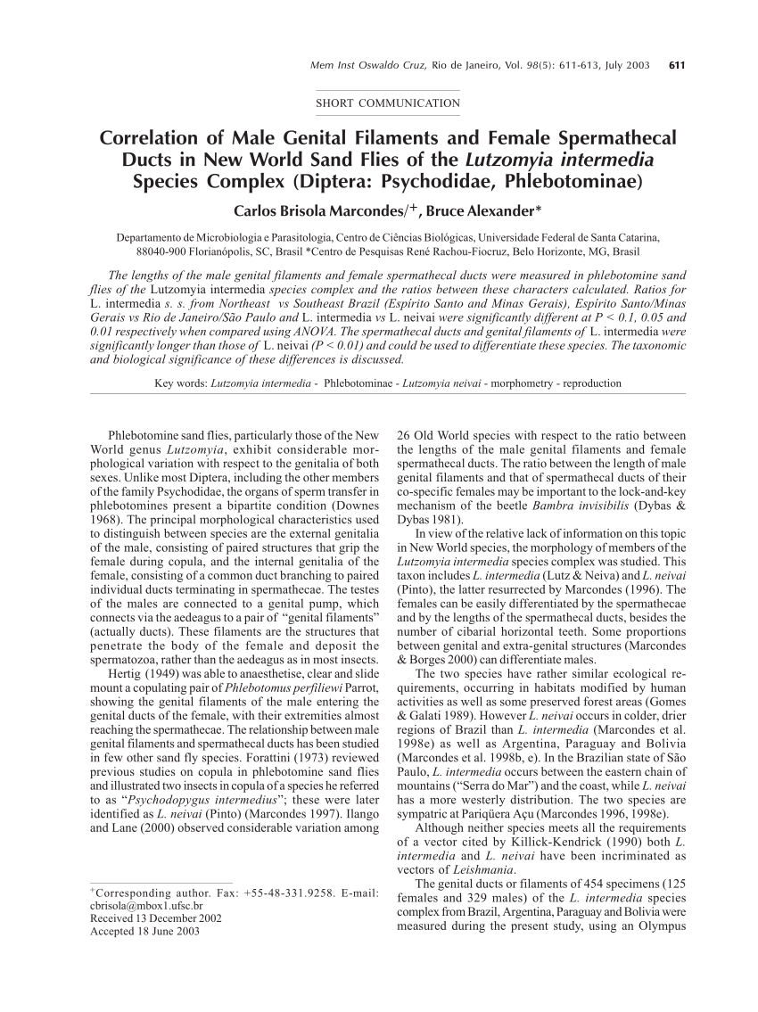 Pdf Distinction Of Males Of The Lutzomyia Intermedia Lutz And Neiva 1912 Species Complex By 4293