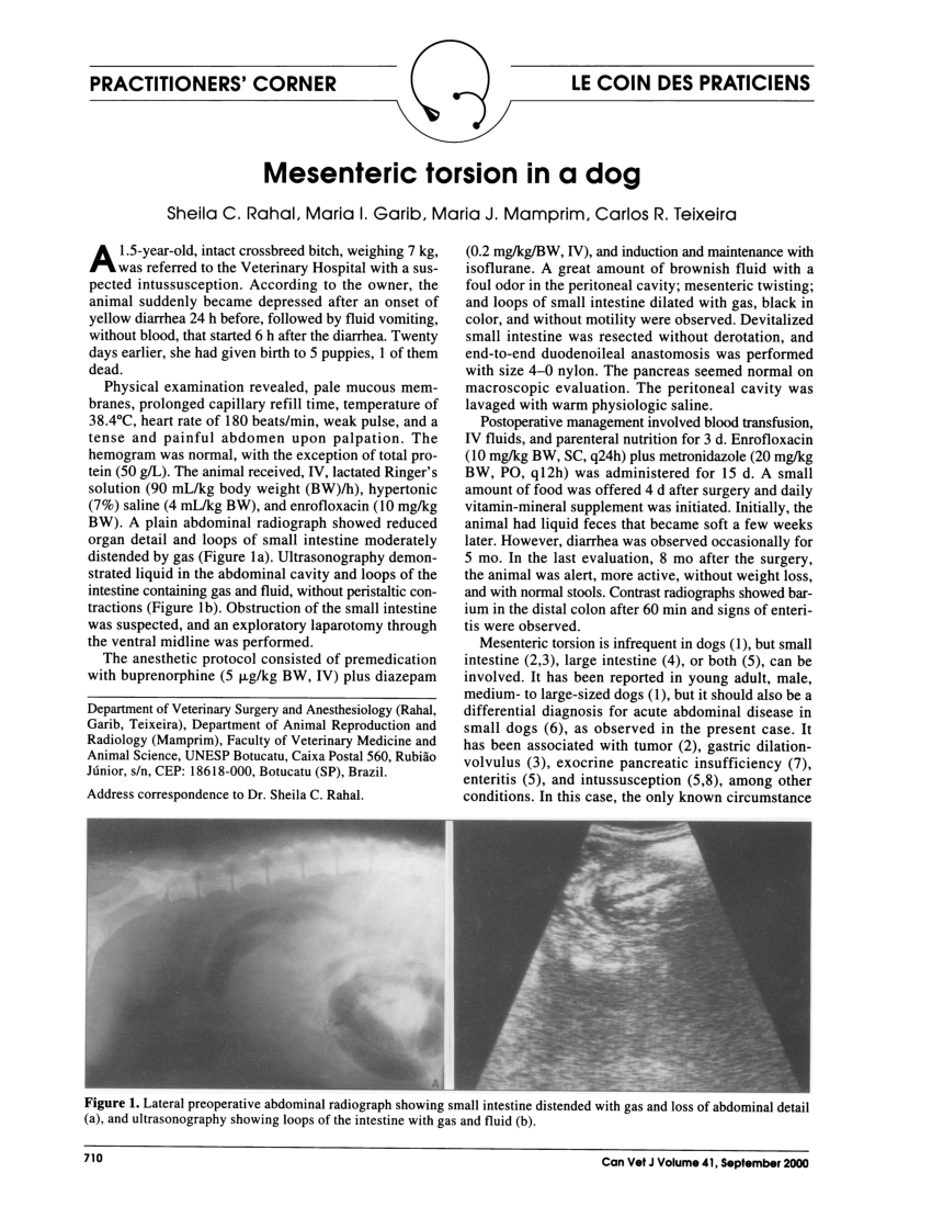 (PDF) Mesenteric torsion in a dog