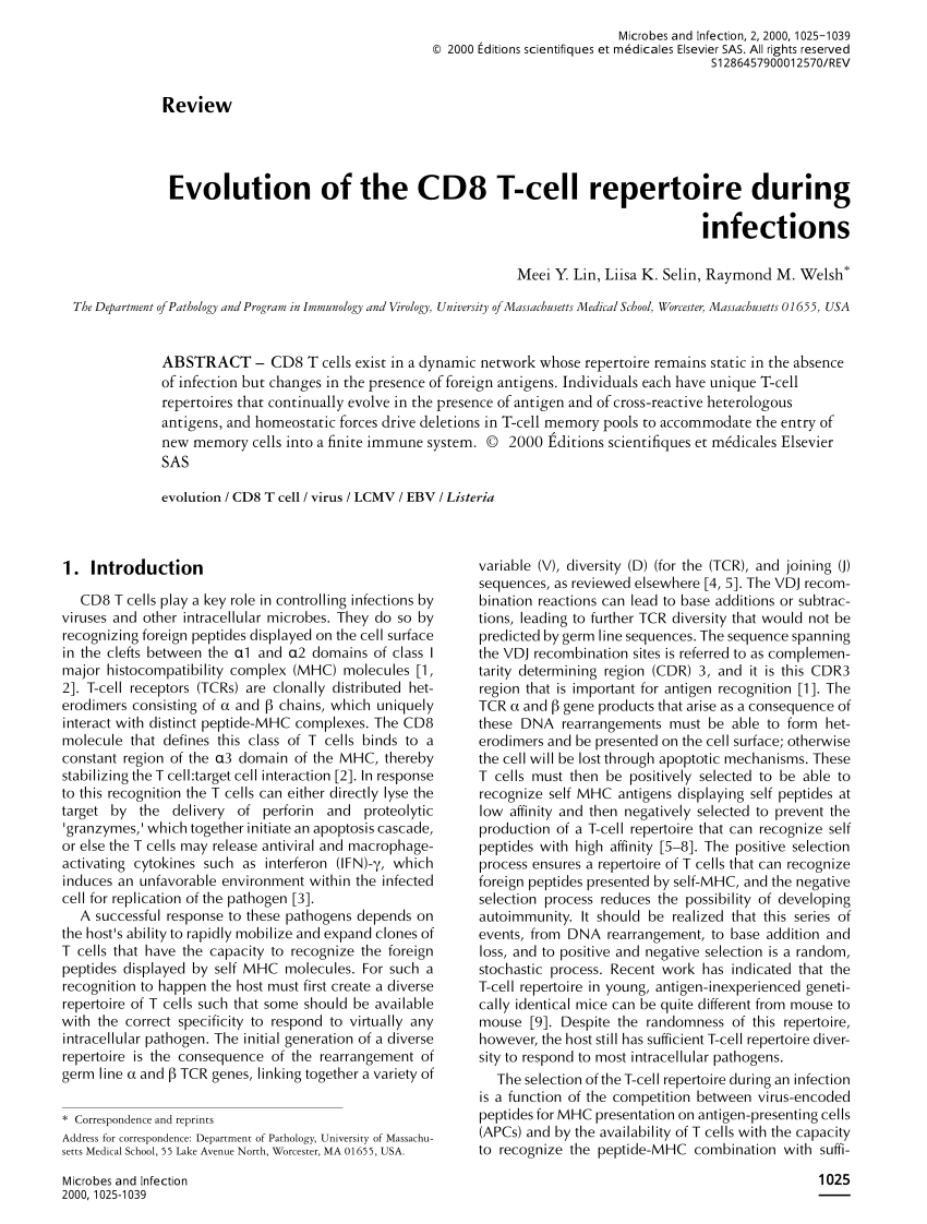 t cell repertoire