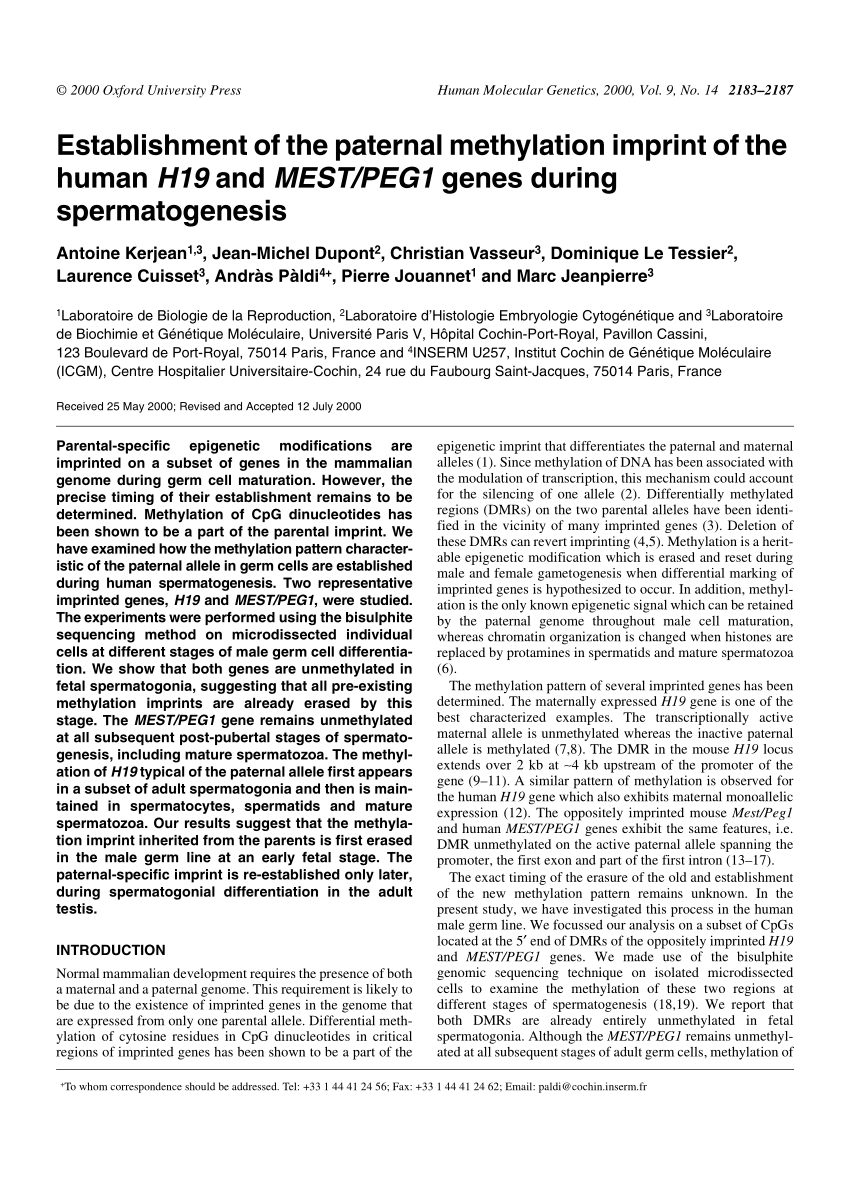 (PDF) Establishment of the paternal methylation imprint of the human Sns-Brigh10