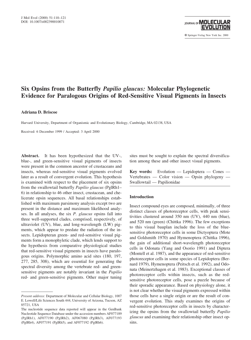 (PDF) Six Opsins from the Butterfly Papilio glaucus: Molecular