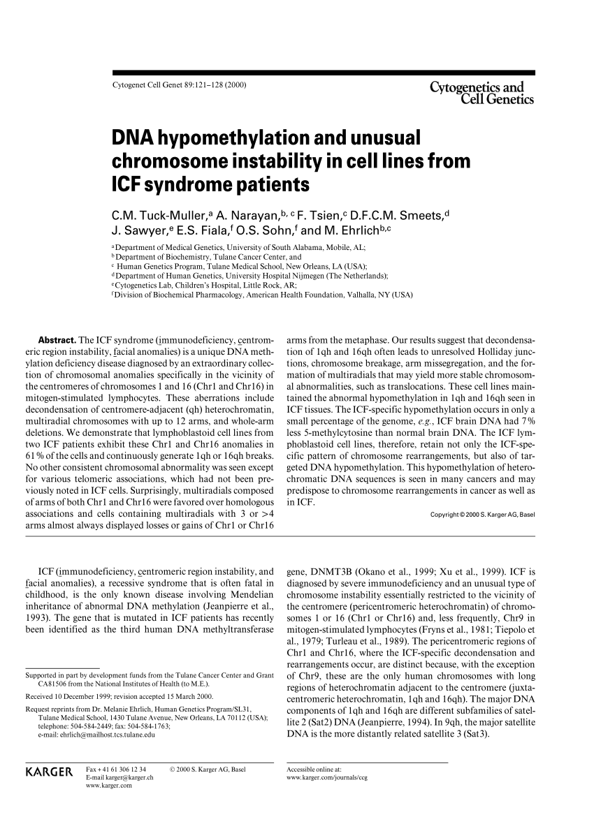 Pdf Dna Hypomethylation And Unusual Chromosome Instability In Cell Lines From Icf Syndrome Patients