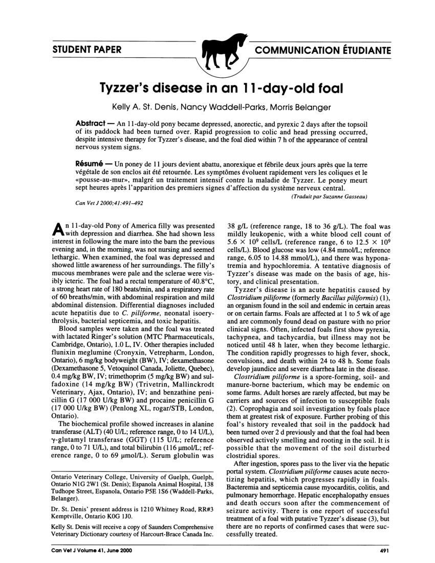 Pdf Tyzzer S Disease In An 11 Day Old Foal