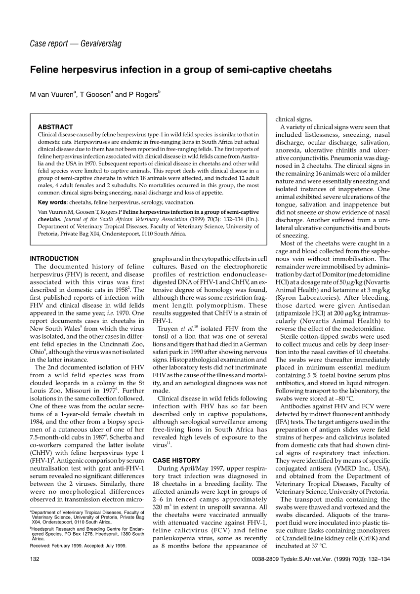 Pdf Feline Herpesvirus Infection In A Group Of Semi Captive Cheetahs