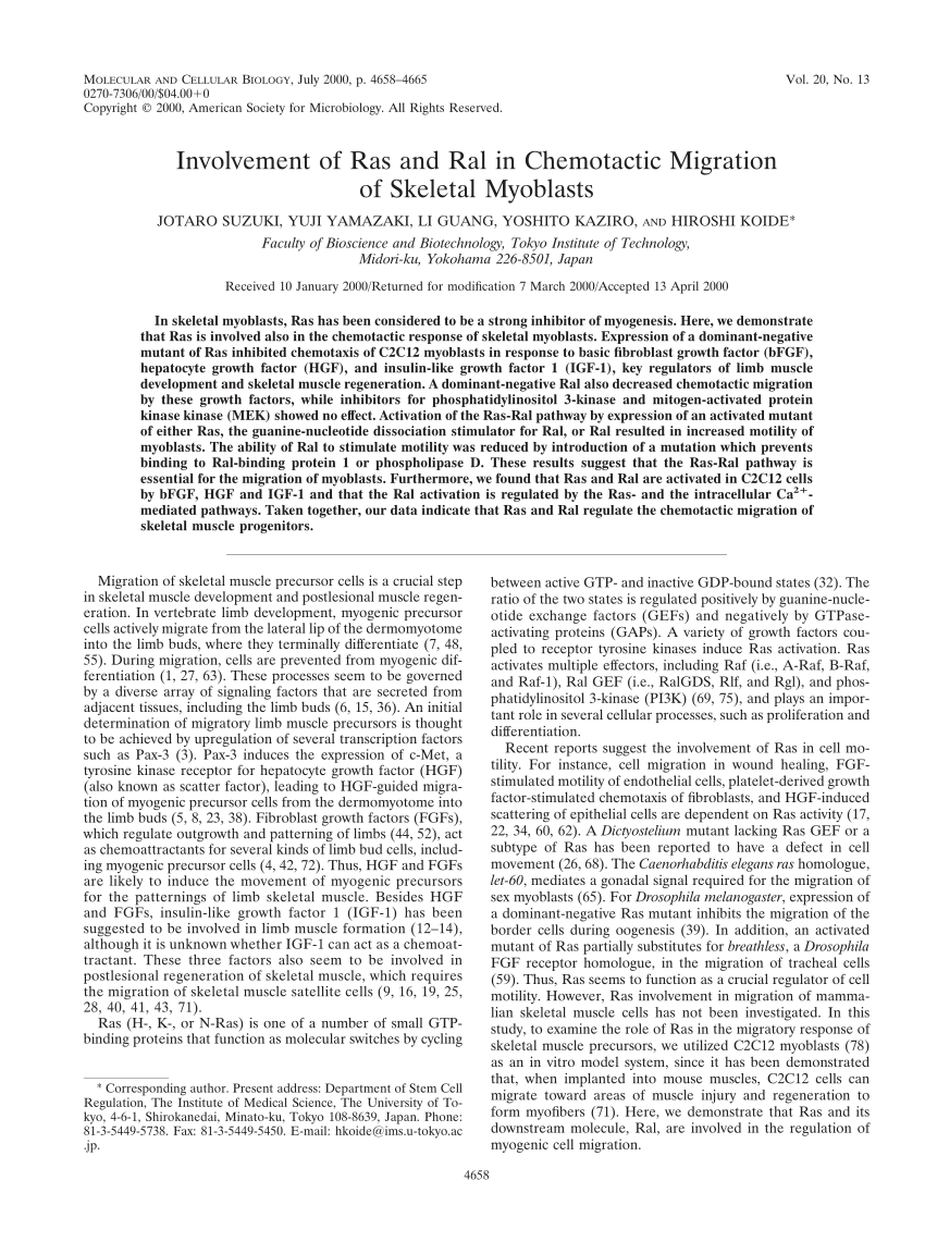 Minato para Colorir - Pesquisa Google, PDF