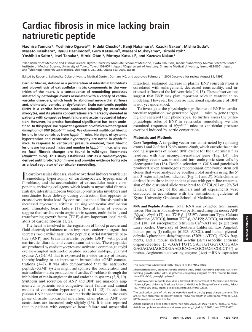 PDF) Cardiac fibrosis in mice lacking brain natriuretic peptide