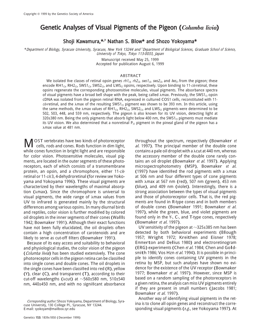 (PDF) Genetic analyses of visual pigments of the Pigeon