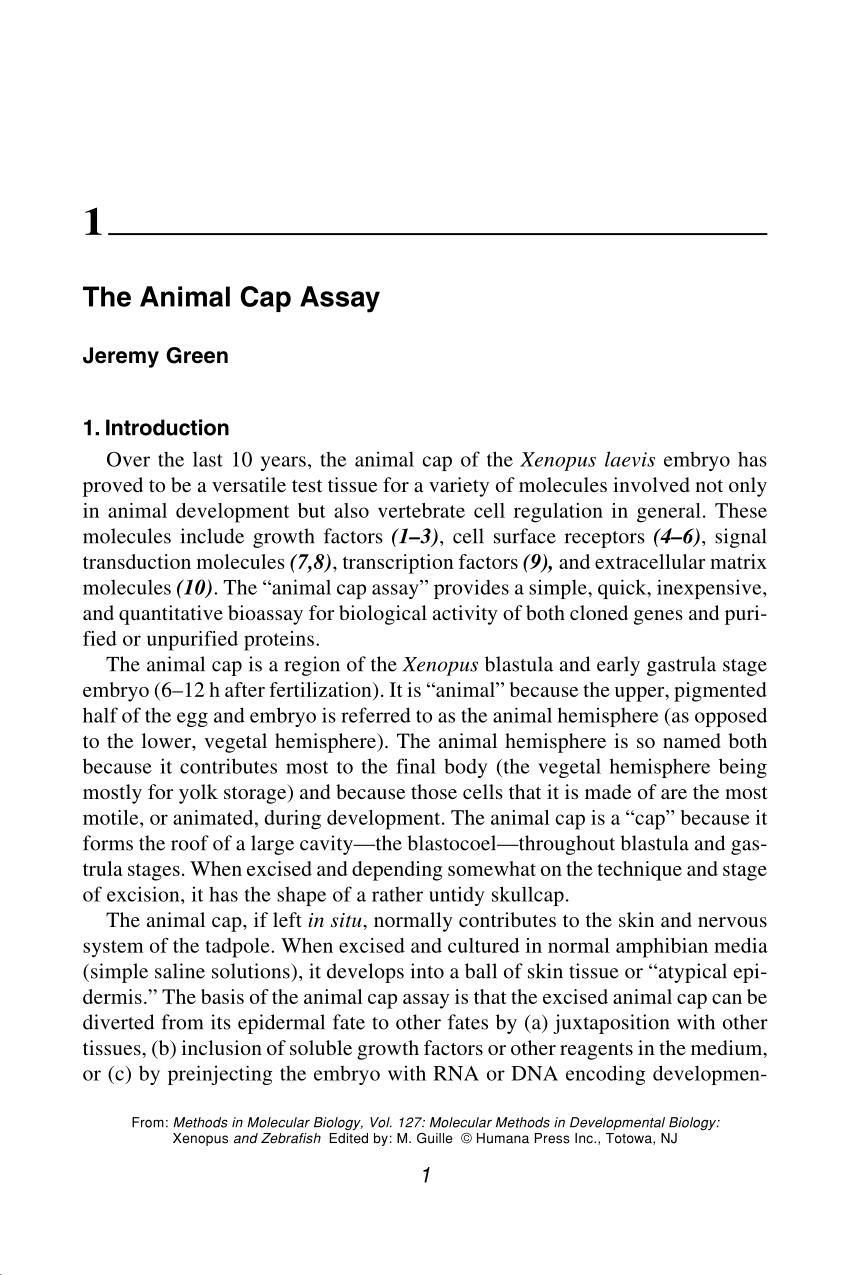 PDF) The Animal Cap Assay