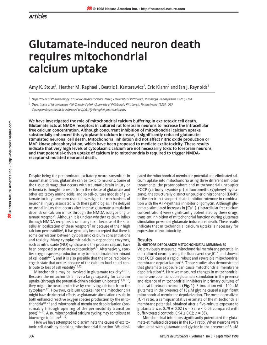 Pdf Glutamate Induced Neuron Death Requires Mitochondrial Calcium Uptake