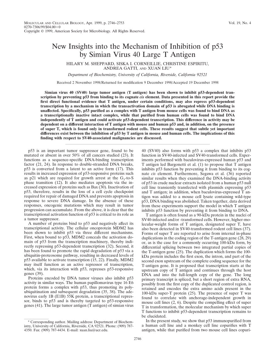 (PDF) New Insights into the Mechanism of Inhibition of p53 by Simian