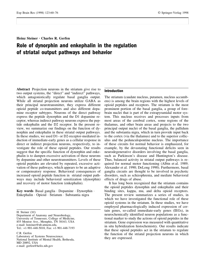 PDF) Role of dynorphin and enkephalin in the regulation of