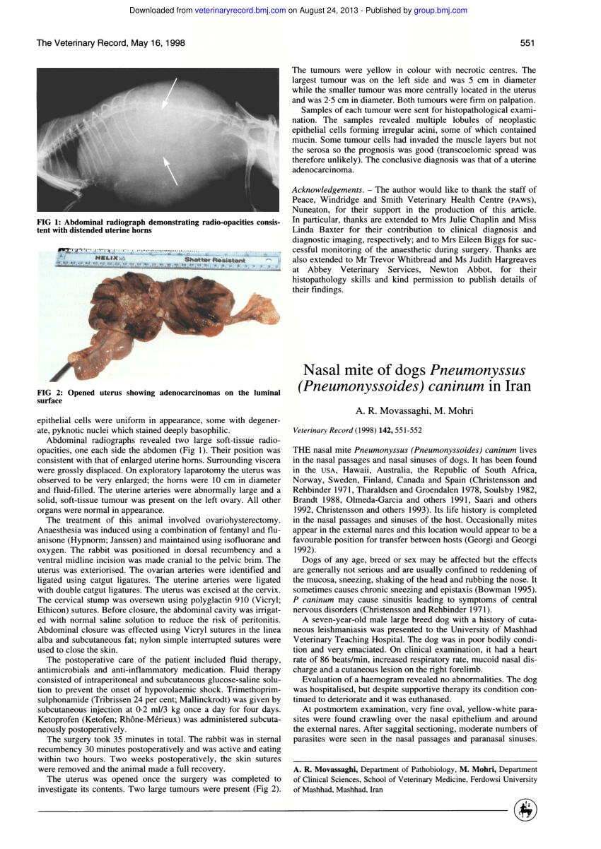 Canine nasal mites store revolution