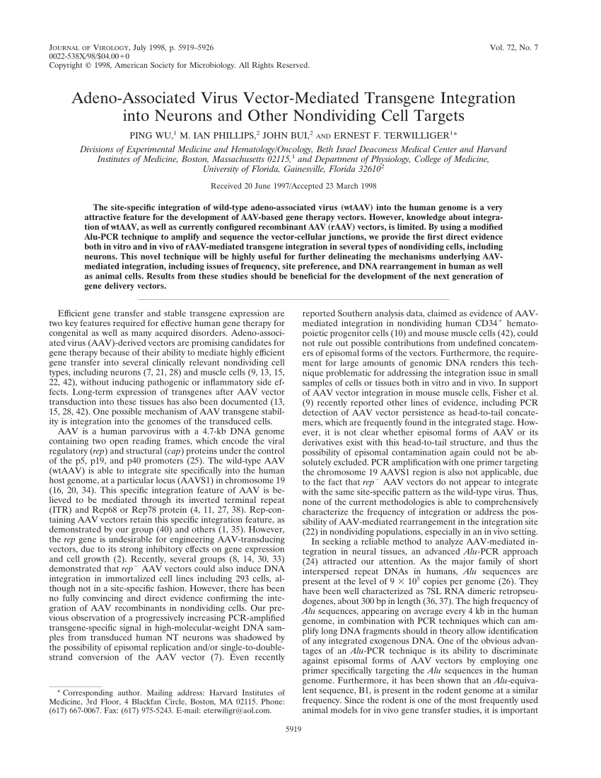 (PDF) Adeno-Associated Virus Vector-Mediated Transgene Integration into