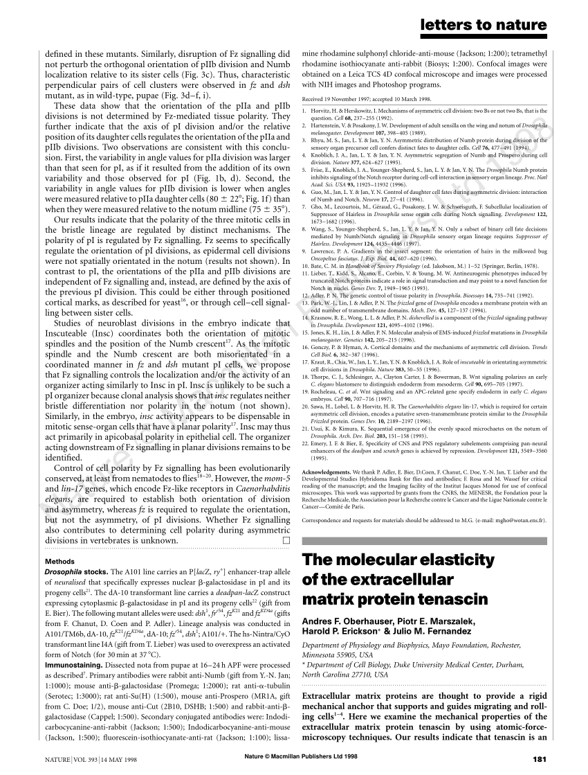 Pdf The Molecular Elasticity Of The Extracellular Matrix Protein Tenascin