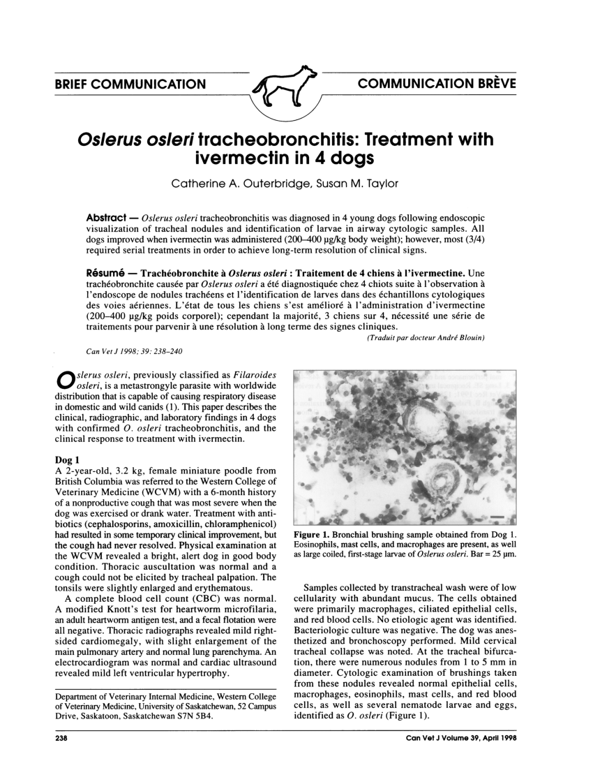 (PDF) Oslerus osleri tracheobronchitis Treatment with ivermectin in 4 dogs