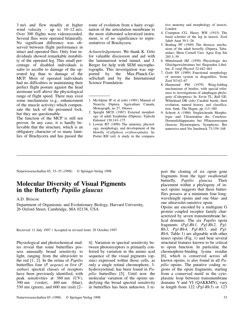 (PDF) Molecular Diversity of Visual Pigments in the Butterfly Papilio