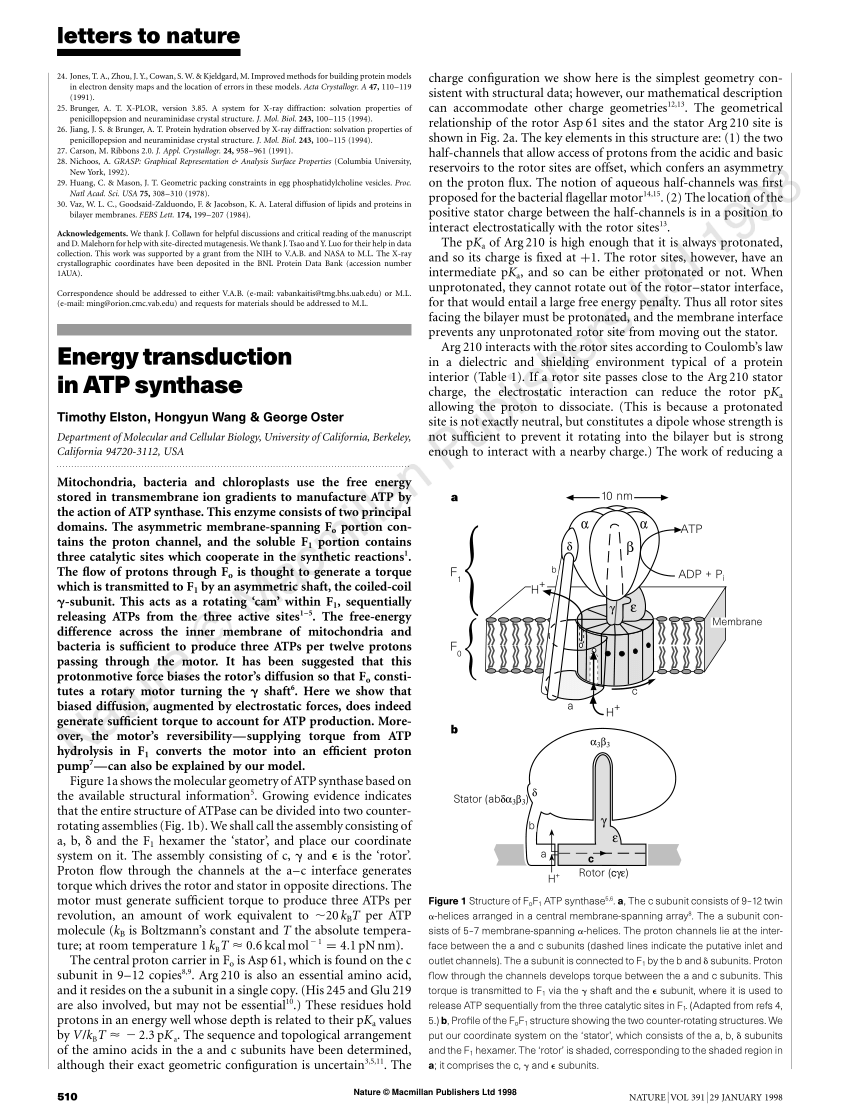 Pdf Energy Transduction In Atp Synthase