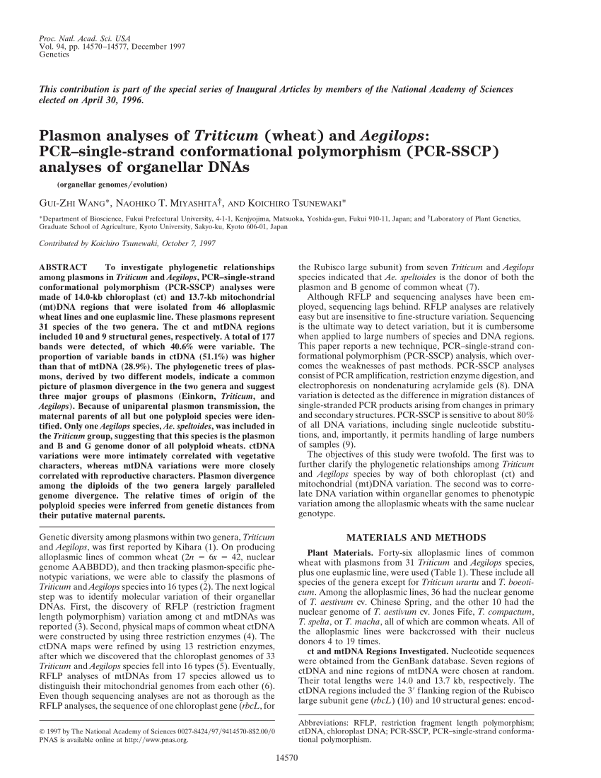 Relevant SSCP Questions