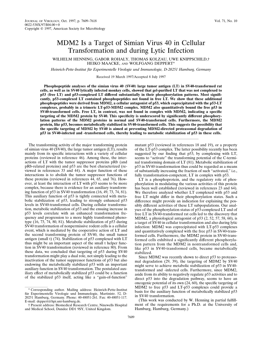 (PDF) MDM2 is a target of simian virus 40 in cellular transformation