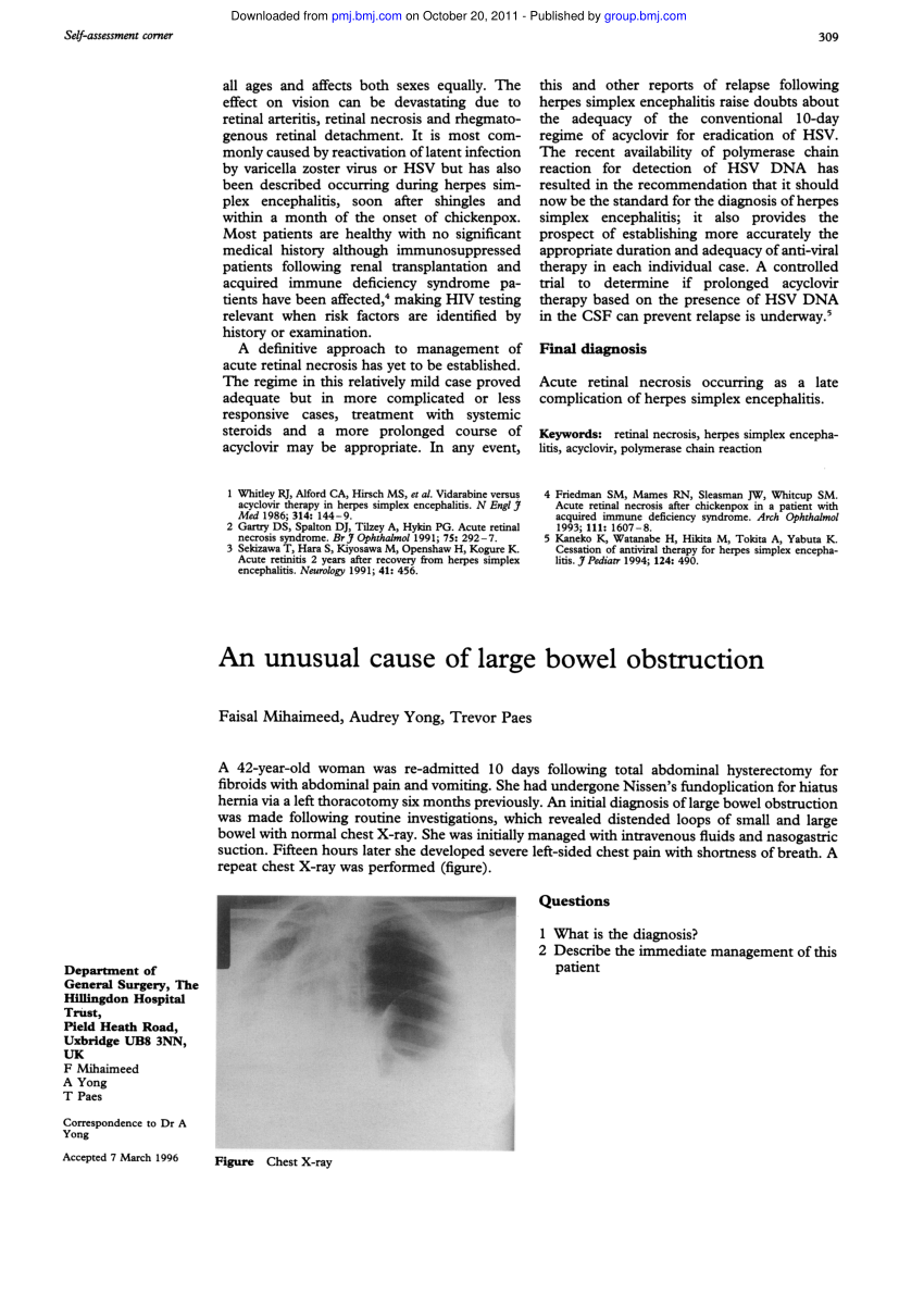 the-large-intestine-complete-anatomy