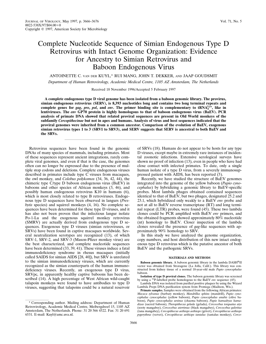 (PDF) Complete nucleotide sequence of simian endogenous type D