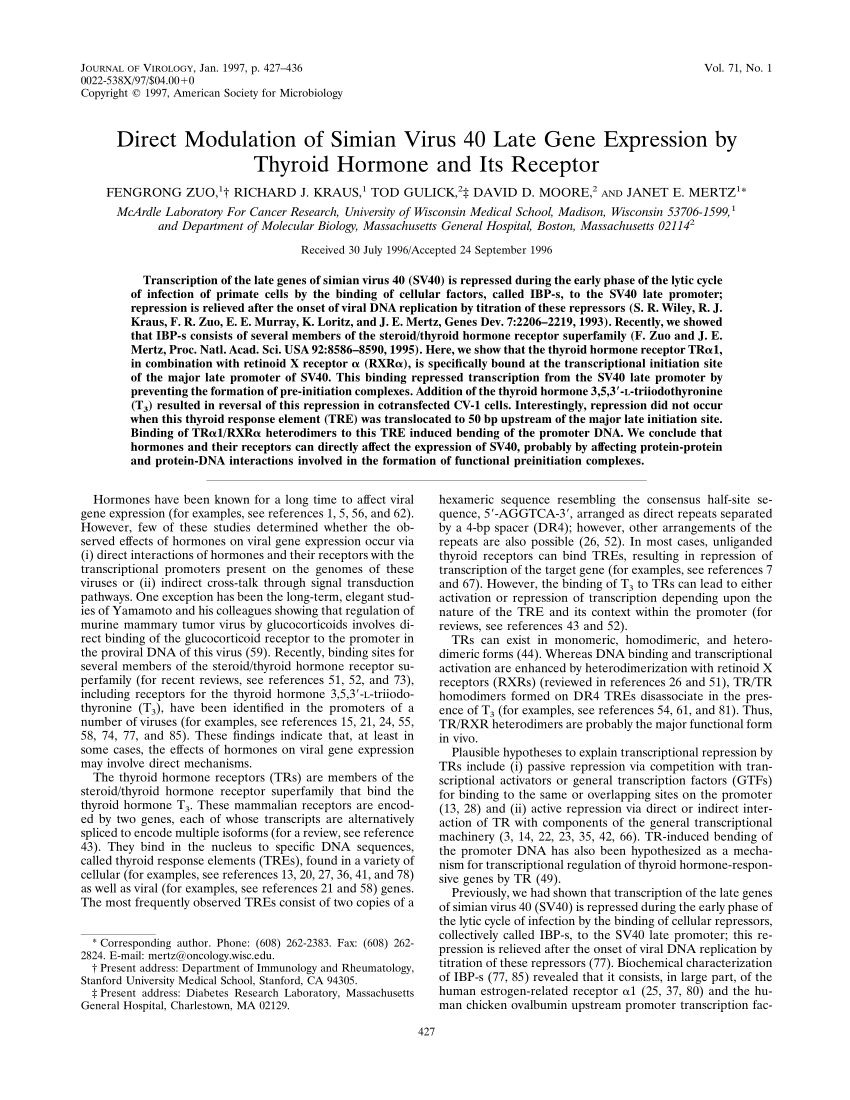 (PDF) Direct modulation of simian virus 40 late gene expression by