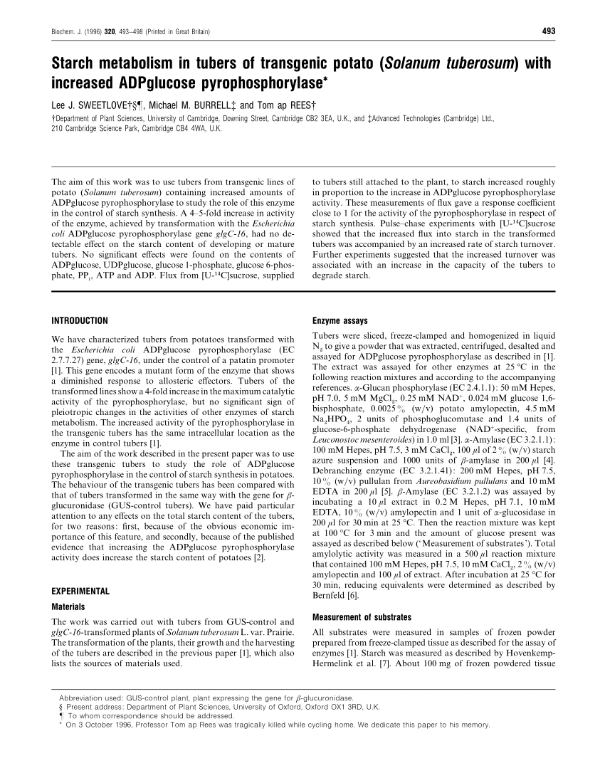Pdf Starch Metabolism In Tubers Of Transgenic Potato Solanum Tuberosum With Increased Adpglucose Pyrophosphorylase