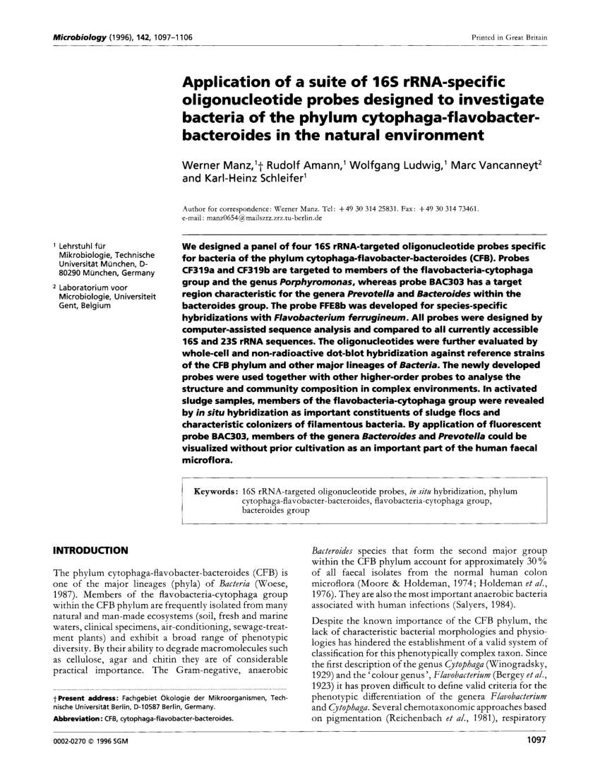 PDF) Application of a suite of 16s rRNA-specific oligonucleotide probes  designed to investigate bacteria of the phylum  Cytophaga-Flavobacter-Bacteroides in the natural environment