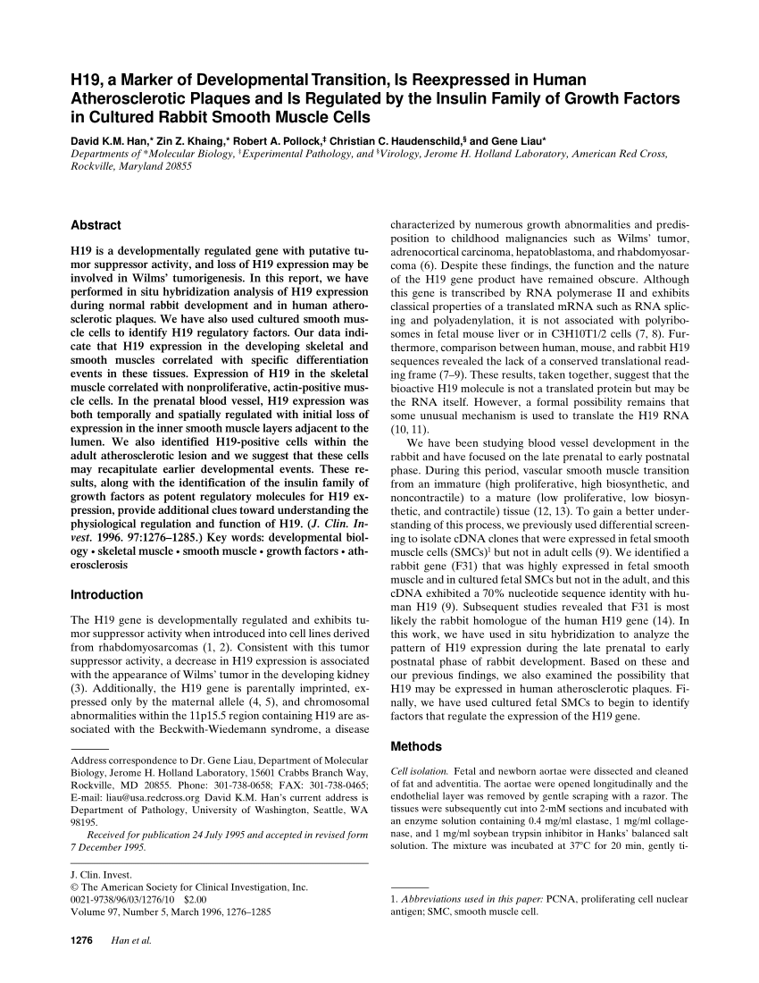 H19-366 Online Prüfung