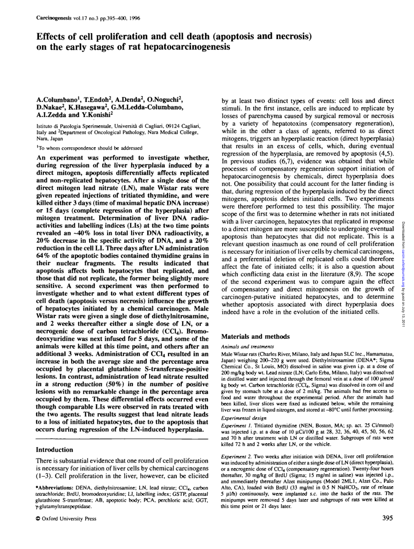 PDF) Effects of cell proliferation and cell death (apoptosis and