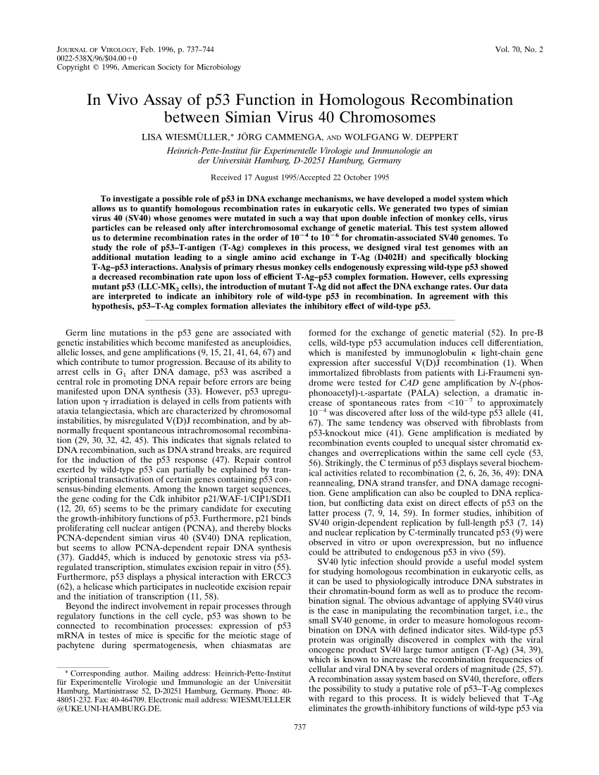 (PDF) In Vivo Assay of p53 Function in Homologous Recombination between