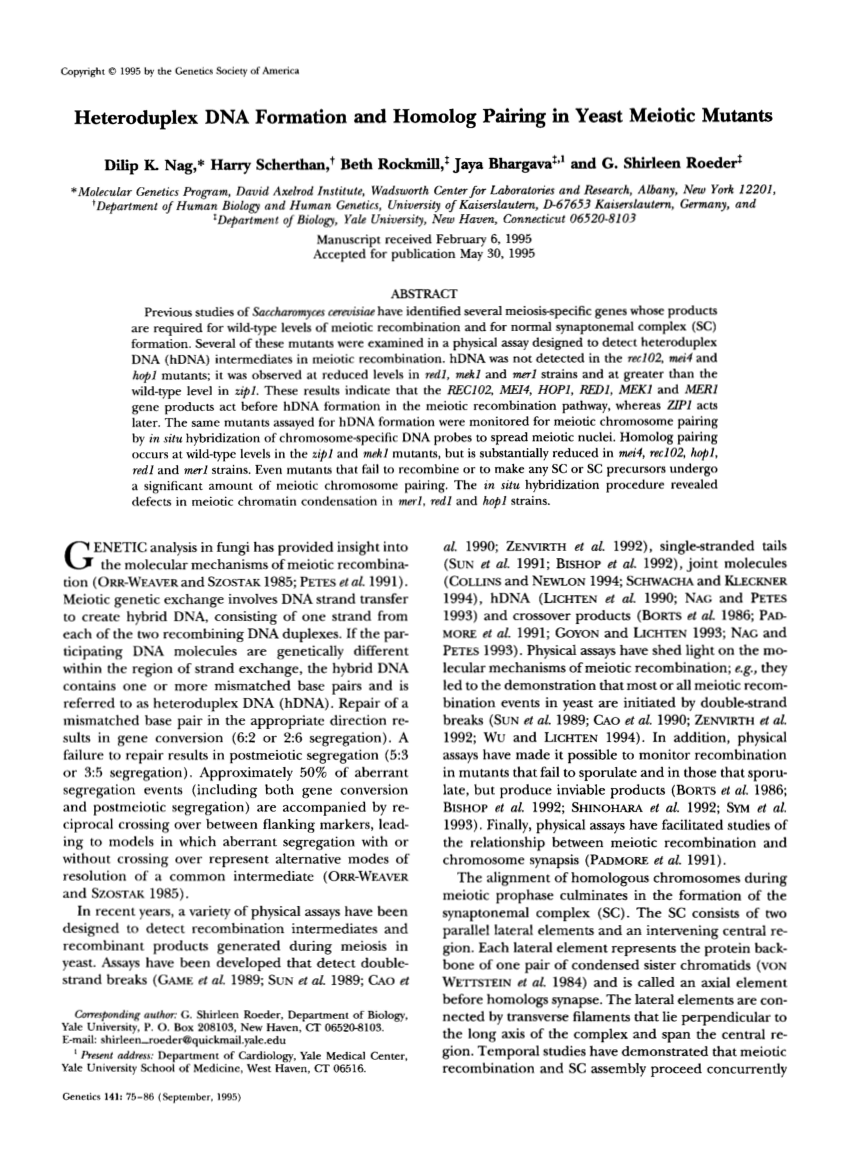 Pdf Heteroduplex Dna Formation And Homolog Pairing In Yeast Meiotic Mutants