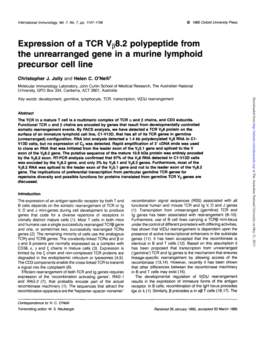 Pdf Expression Of A Tcr V Beta 8 2 Polypeptide From The Unrearranged Gene In A Murine Lymphoid Precursor Cell Line