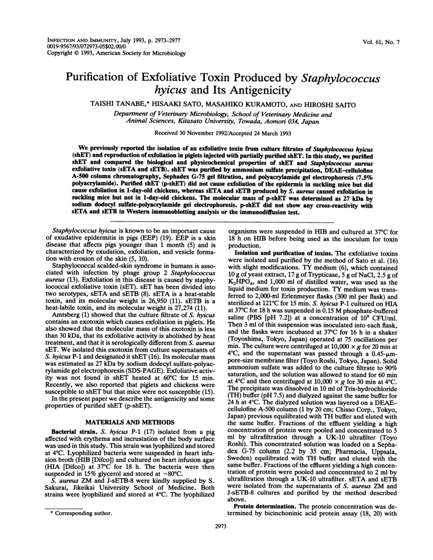 Staphylococcus hyicus toxinok.