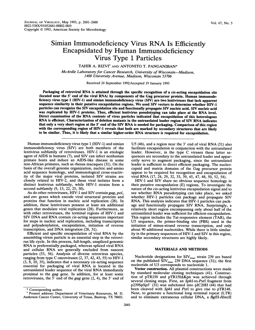 (PDF) Simian immunodeficiency virus RNA is efficiently encapsidated by